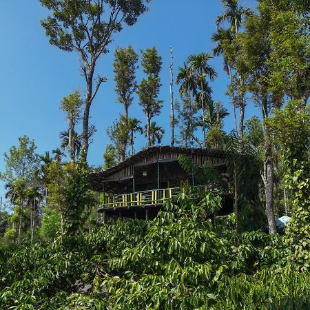 The Mountain Tree Home Ваянад Экстерьер фото