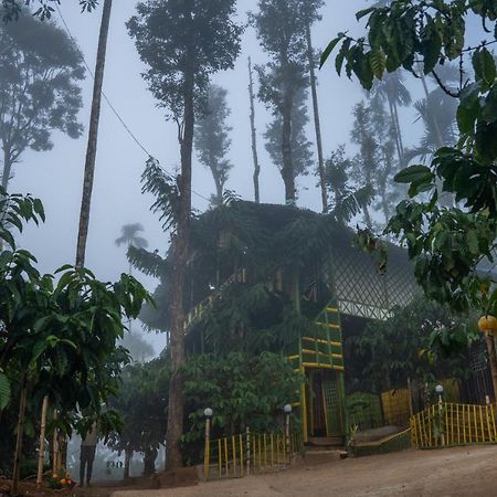 The Mountain Tree Home Ваянад Экстерьер фото