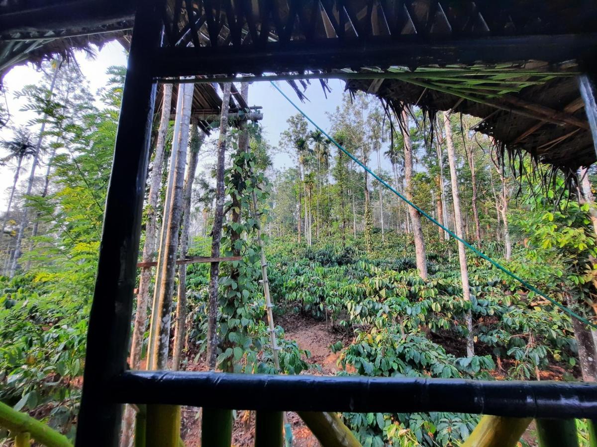 The Mountain Tree Home Ваянад Экстерьер фото
