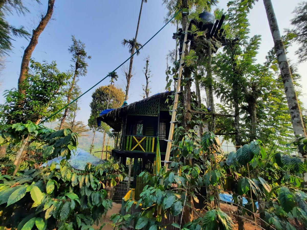 The Mountain Tree Home Ваянад Экстерьер фото