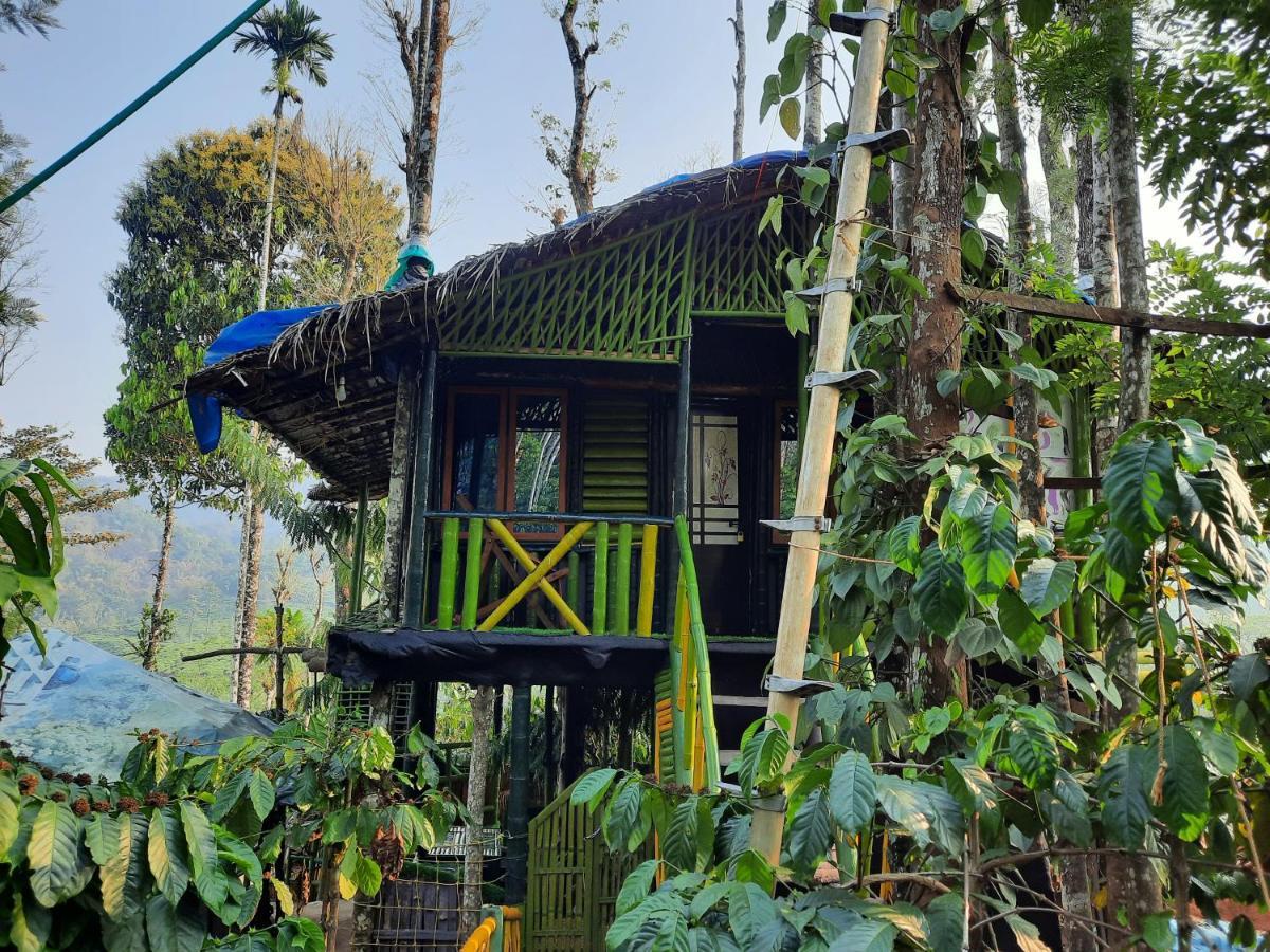 The Mountain Tree Home Ваянад Экстерьер фото