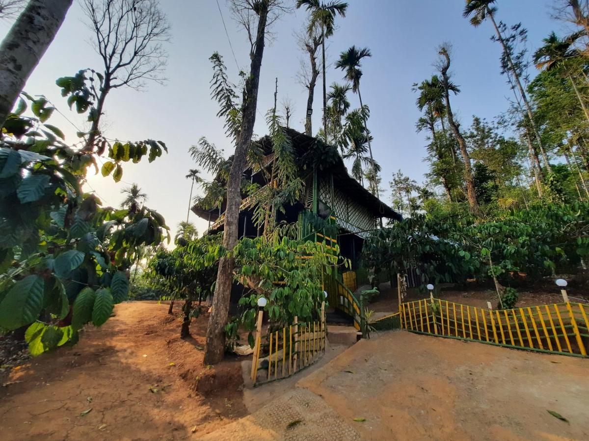 The Mountain Tree Home Ваянад Экстерьер фото