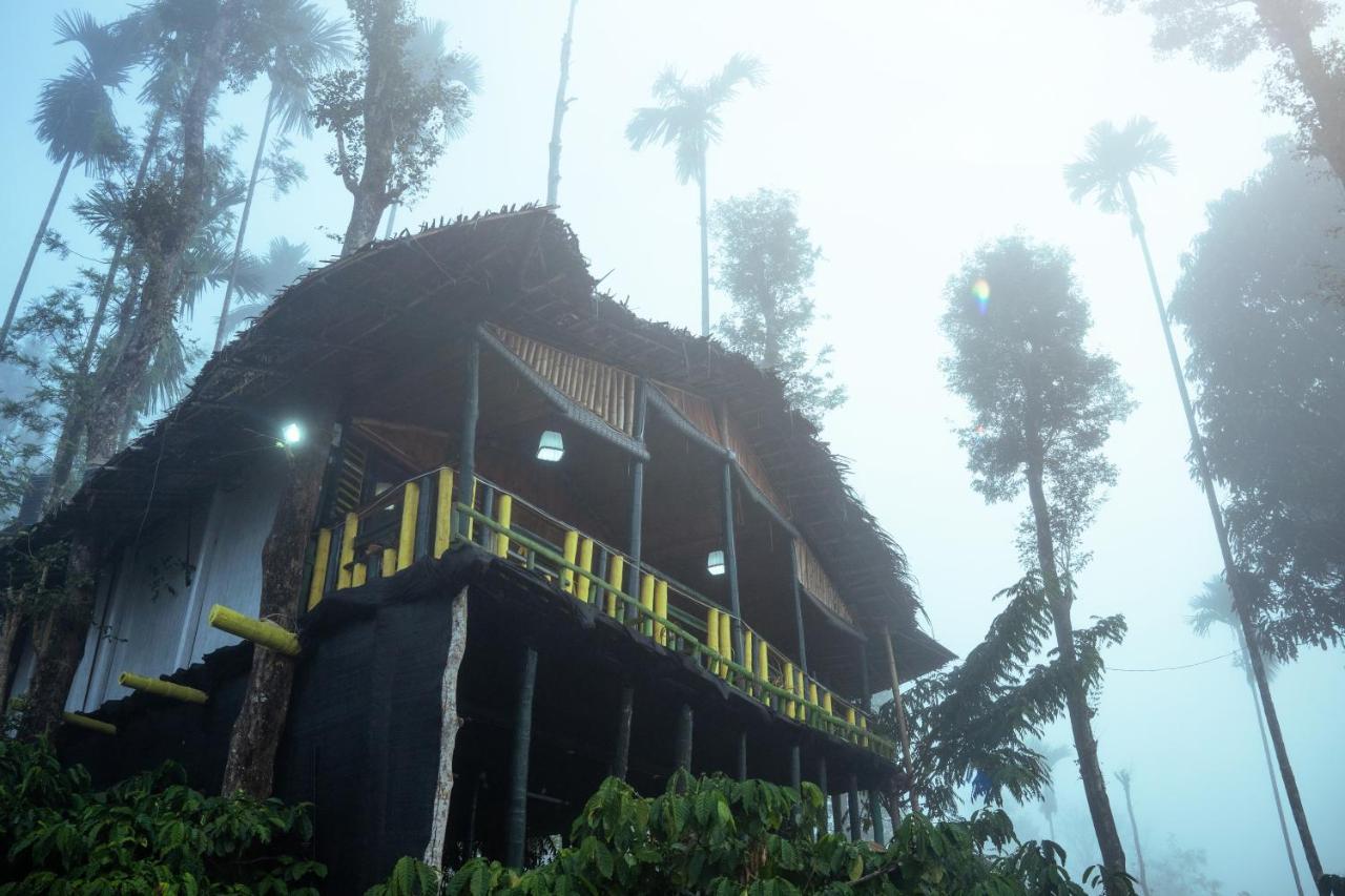 The Mountain Tree Home Ваянад Экстерьер фото