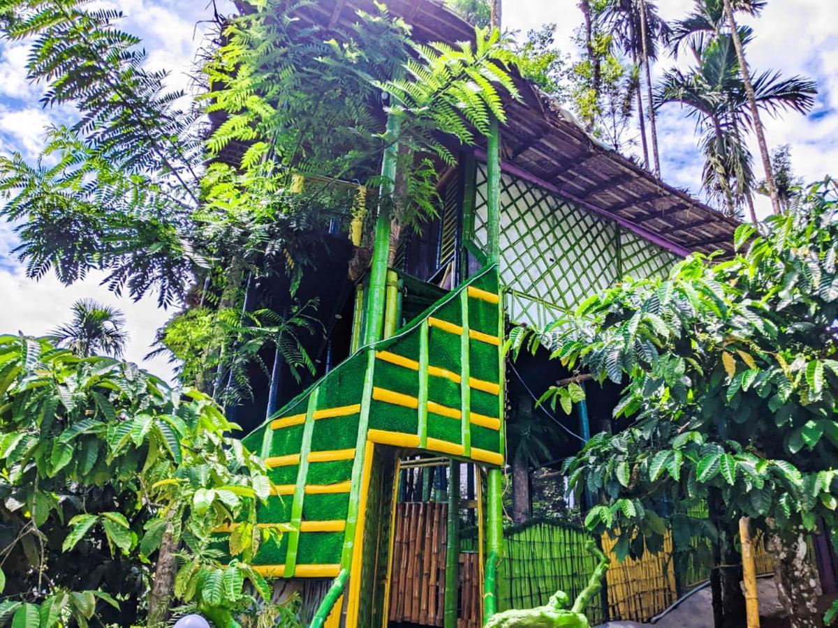 The Mountain Tree Home Ваянад Экстерьер фото
